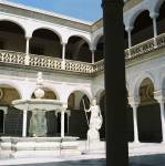 Carole BIRARD - Carole B photography